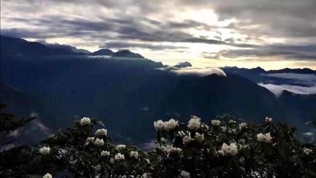 【新春走基层】草莓映红致富路